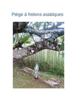 Piege a frelons
