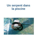 Serpent Piscine