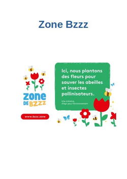 Zone Bzzz